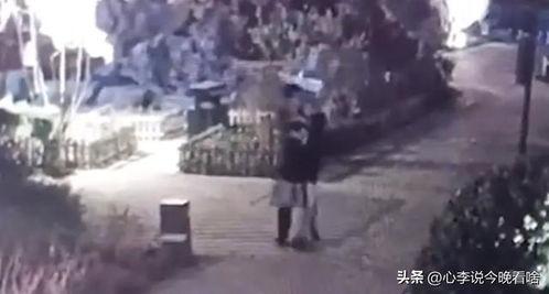 江山吃瓜事件视频全集免费,揭秘视频全集背后的惊人真相 第3张 江山吃瓜事件视频全集免费,揭秘视频全集背后的惊人真相 第3张