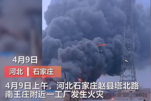 河北学校爆料事件视频曝光,真相揭开,引发社会关注 第1张 河北学校爆料事件视频曝光,真相揭开,引发社会关注 第1张